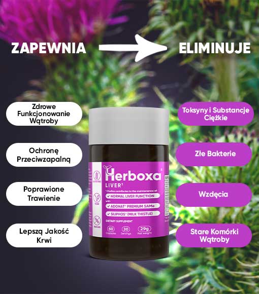 HERBOXA® LIVER