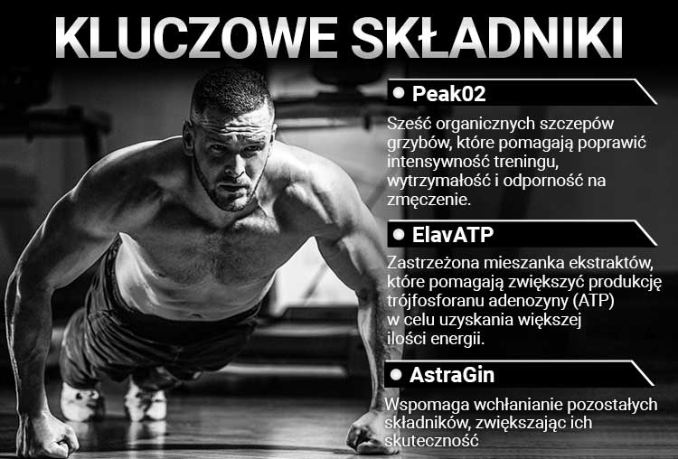 Herboxa Muscle Builder